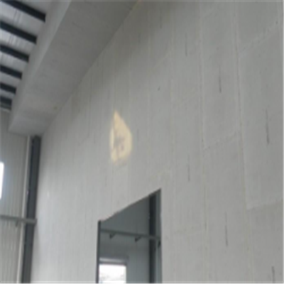 营口宁波ALC板|EPS加气板隔墙与混凝土整浇联接的实验研讨